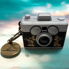 東京ディズニーリゾート35周年記念キーホルダー