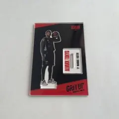 アルバルク東京 バスケットボール