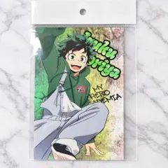 나의 히어로 아카데미아 ユアネクスト 緑谷出久 デク ホロカード ポストカード