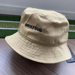 Item thumbnail for item a0eff03e-f59f-44e6-b75c-34acea77ed74