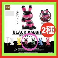 ★2種★BLACK RABBiT4 ブラックラビット4 ガチャ新品　ストライプ