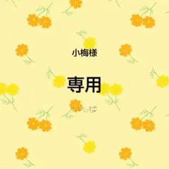 専用　おまとめ品