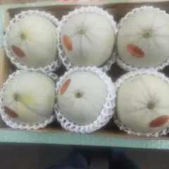 あーさんのプリンスメロン 4キロ超 - メルカリ