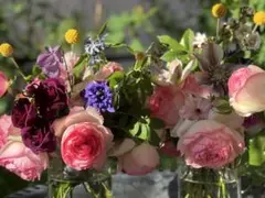 2026年最新】ショワジールロワ 切り花の人気アイテム - メルカリ