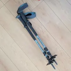 Item thumbnail for item f0264946-e423-49ac-b3b3-9eef50fa9765