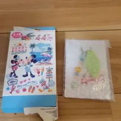 Disney サニーサニーサマー　チップとデール　アクリルキーホルダー　チャームのサムネイル