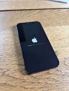 iPhone 12Pro パシフィックブルー 256GB