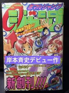【激レア・額装】岸本斉史＆尾田栄一郎 直筆イラストセット 激レア・額装】岸本斉史＆尾田栄一郎 直筆イラストセット