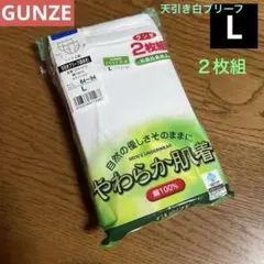 GUNZE メンズ 天引きブリーフ Lサイズ 2枚組