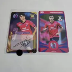 Item thumbnail for item c9617785-cfd9-4cdd-9a68-280ea33ea9ca