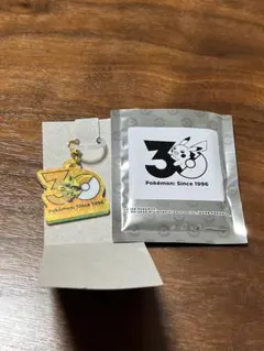 ポケモン 30周年 アクリルキーホルダー ゼラオラ