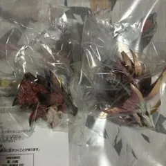 モンハン ワイルズ 一番くじ C賞 モンスターヘッドマグネット2セット
