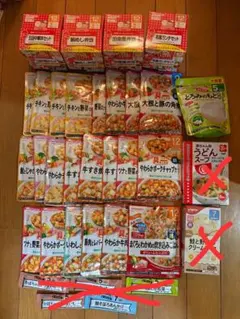 WAKODO 離乳食セット