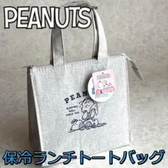 PEANUTS スヌーピー 保冷保温 ランチトートバッグ マチ広 グレー