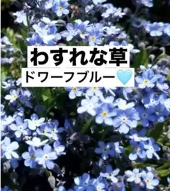 ひろりん様 リクエスト 3点 まとめ商品