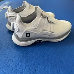 2026年最新】FootJoy ゴルフ シューズ(男性用)の人気アイテム - メルカリ