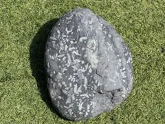 紋様石 渡良瀬川 桜石 鑑賞石 紋石 水石 銘石 天然石 黒石 盆栽 盆石 置物