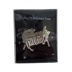 PLAVE プレイブ 2025 アジアツアー ピンバッジ ピンズ