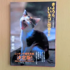 Mini様 リクエスト 2点 まとめ商品