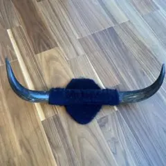 Item thumbnail for item 5fdcf0c5-784c-4309-96ce-9da87fa5b6e3