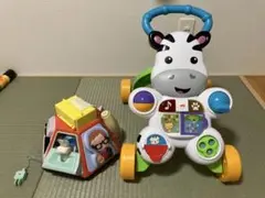 おして! しまうまくんのバイリンガル・ウォーカー、いたずら1歳 やりたい放題のサムネイル