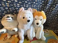 2026年最新】くったりサモエド ぬいぐるみの人気アイテム - メルカリ