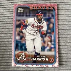 Item thumbnail for item e69e5b38-9d86-4939-834c-726838dc0956