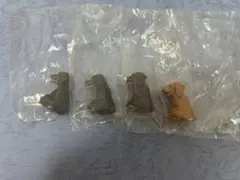 まてぼうけ犬4 4つセット
