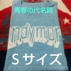 今日売れなければまた来年販売します✨新品未使用✨andymoriＴ✨Ｓサイズ