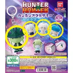 HUNTER×HUNTER　めじるしアクセサリー　キメラアント編　4体セット
