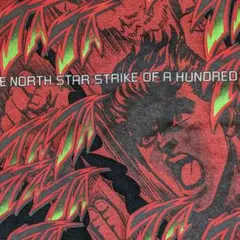 90s　北斗の拳　ケンシロウ　北斗神拳奥義　アニメプリント　Tシャツ　公式　L