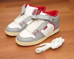 Item thumbnail for item 8d494b74-dd1a-4a0f-b362-21dcff78c8e1