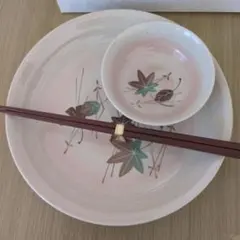 たち吉　葉模様の陶器皿セット大皿　ボウル5つ　菜箸