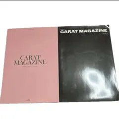 SEVENTEEN 会報誌　2冊セット