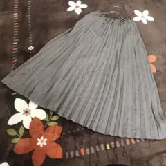 earth music&ecology プリーツロングスカート　0059