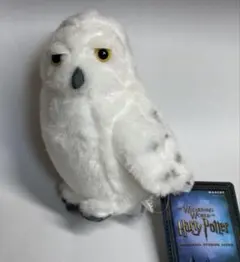 USJ ハリーポッター ヘドウィグ マスコット ぬいぐるみ