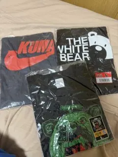 Item thumbnail for item a7d92065-3f15-4890-bd1f-b4307c160d64