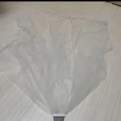 Item thumbnail for item d34b3555-85b1-4ed6-9761-281ec5c2d781