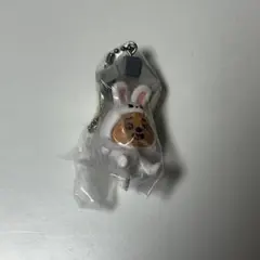 StrayKids SKZOO つまんでつなげてますこっと ハン　クォッカ