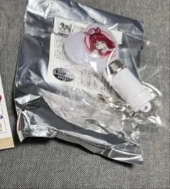 ウマ娘プリティーダービー Bic camera ビックカメラ レッドディザイア