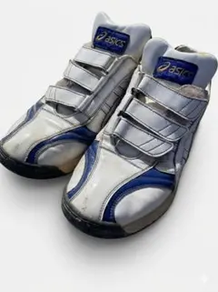 Item thumbnail for item 2e469332-6876-4f12-824e-1284c5a5890c