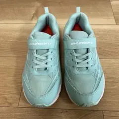 Item thumbnail for item be252a5d-94d7-443c-9ad5-cd11ce42e1c2