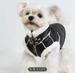 Item thumbnail for item 2264117e-c62d-4d02-95d4-60a20e14c790