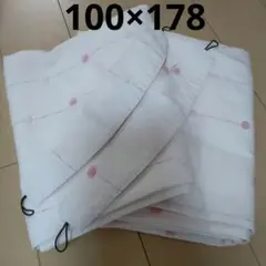 Item thumbnail for item 45fec691-3526-41fc-94d3-9c9407590a0f