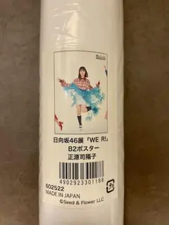 【新品・未開封】 欅坂46くじ　 A3タペストリー賞　アップvers. m32551149609_1.jpg?1714815508