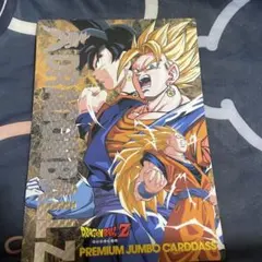 ドラゴンボールZ PREMIUM JUMBO CARDDASS