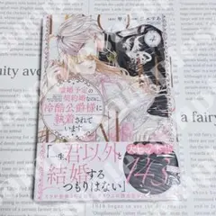 離婚予定の契約婚なのに、冷酷公爵様に執着されています 4 【未開封品】