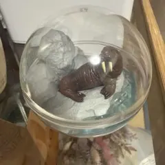 Item thumbnail for item cef19b59-a526-4eb0-bb67-576aa1da916e