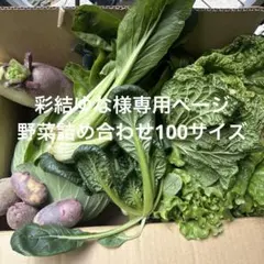 彩結ゆな様専用ページ　 野菜詰め合わせ100サイズ