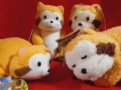 2025年最新】ラスカル ぬいぐるみ サンライクの人気アイテム